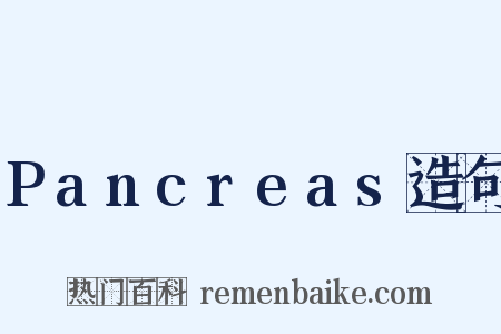 Pancreas造句是什么意思的图片
